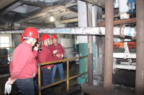 馬頭洗選廠提前完成全年生產(chǎn)任務(wù)，技術(shù)推廣助力高效發(fā)展