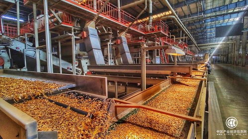 技術(shù)驅(qū)動(dòng)創(chuàng)新，智慧賦能發(fā)展——云南煙葉復(fù)烤有限責(zé)任公司楚雄復(fù)烤廠2021烤季生產(chǎn)任務(wù)圓滿完成